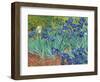 Irises, 1889-Vincent van Gogh-Framed Art Print