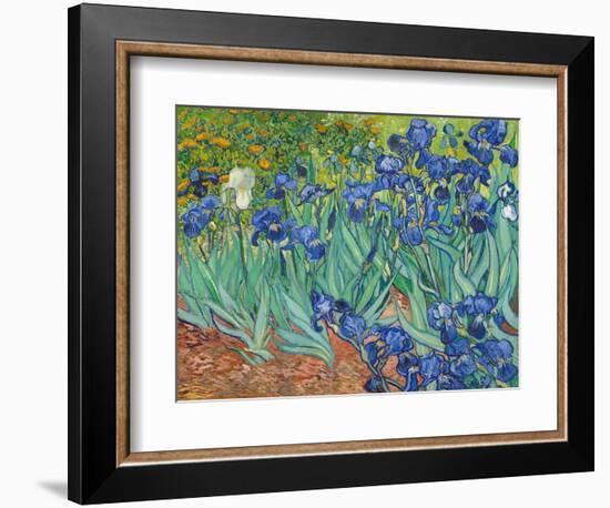 Irises, 1889-Vincent van Gogh-Framed Art Print