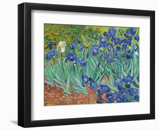 Irises, 1889-Vincent van Gogh-Framed Art Print