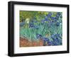 Irises, 1889-Vincent van Gogh-Framed Art Print