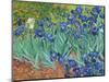 Irises, 1889-Vincent van Gogh-Mounted Art Print