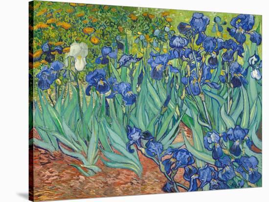 Irises, 1889-Vincent van Gogh-Stretched Canvas