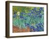 Irises, 1889-Vincent van Gogh-Framed Art Print