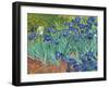 Irises, 1889-Vincent van Gogh-Framed Art Print