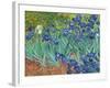 Irises, 1889-Vincent van Gogh-Framed Art Print