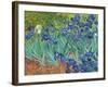 Irises, 1889-Vincent van Gogh-Framed Art Print