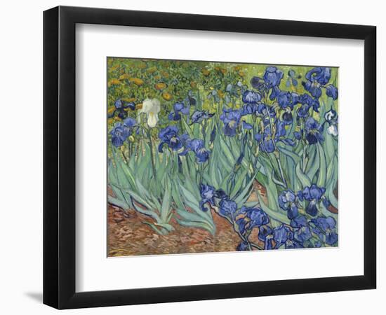 Irises, 1889-Vincent van Gogh-Framed Art Print