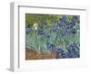 Irises, 1889-Vincent van Gogh-Framed Art Print