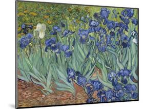 Irises, 1889-Vincent van Gogh-Mounted Art Print