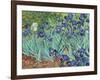 Irises, 1889-Vincent van Gogh-Framed Giclee Print