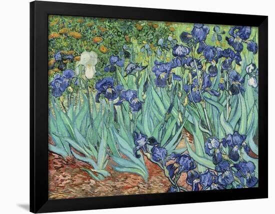 Irises, 1889-Vincent van Gogh-Framed Giclee Print