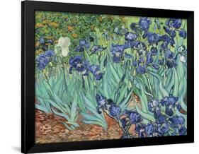 Irises, 1889-Vincent van Gogh-Framed Giclee Print