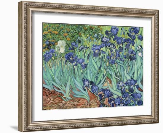 Irises, 1889-Vincent van Gogh-Framed Giclee Print