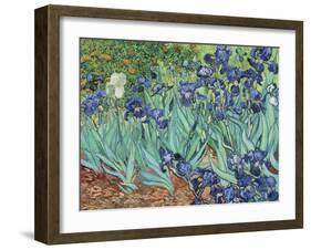 Irises, 1889-Vincent van Gogh-Framed Giclee Print