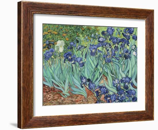 Irises, 1889-Vincent van Gogh-Framed Giclee Print