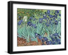 Irises, 1889-Vincent van Gogh-Framed Giclee Print