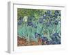 Irises, 1889-Vincent van Gogh-Framed Giclee Print