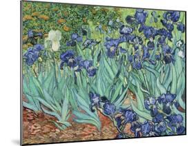 Irises, 1889-Vincent van Gogh-Mounted Giclee Print