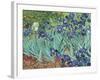 Irises, 1889-Vincent van Gogh-Framed Premium Giclee Print