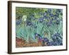 Irises, 1889-Vincent van Gogh-Framed Premium Giclee Print