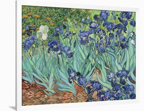 Irises, 1889-Vincent van Gogh-Framed Giclee Print