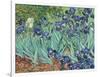 Irises, 1889-Vincent van Gogh-Framed Giclee Print