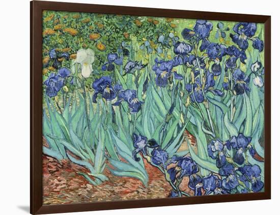 Irises, 1889-Vincent van Gogh-Framed Giclee Print