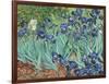 Irises, 1889-Vincent van Gogh-Framed Giclee Print