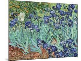 Irises, 1889-Vincent van Gogh-Mounted Giclee Print