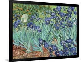 Irises, 1889-Vincent van Gogh-Framed Giclee Print