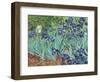 Irises, 1889-Vincent van Gogh-Framed Giclee Print