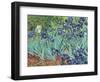 Irises, 1889-Vincent van Gogh-Framed Giclee Print