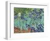 Irises, 1889-Vincent van Gogh-Framed Giclee Print