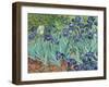 Irises, 1889-Vincent van Gogh-Framed Premium Giclee Print