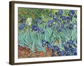 Irises, 1889-Vincent van Gogh-Framed Giclee Print