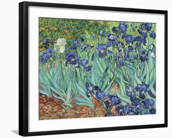 Irises, 1889-Vincent van Gogh-Framed Giclee Print