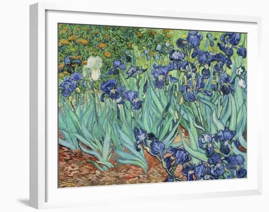 Irises, 1889-Vincent van Gogh-Framed Giclee Print