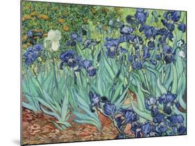 Irises, 1889-Vincent van Gogh-Mounted Giclee Print