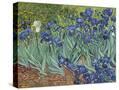 Stretched Canvas