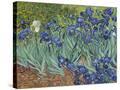 Stretched Canvas