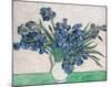 Irises, 1890 (White Vase)-Vincent Van Gogh-Mounted Art Print