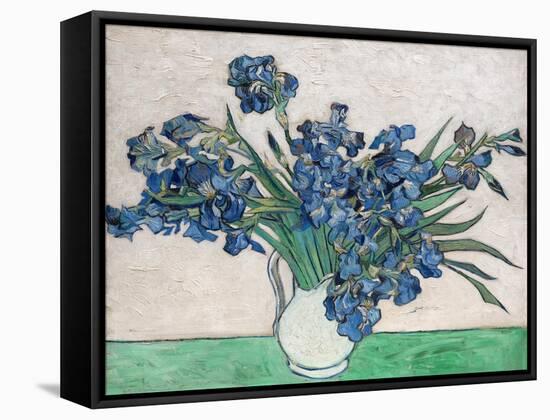 Irises, 1890 (White Vase)-Vincent van Gogh-Framed Stretched Canvas