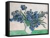 Irises, 1890 (White Vase)-Vincent Van Gogh-Framed Stretched Canvas