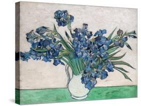 Irises, 1890 (White Vase)-Vincent van Gogh-Stretched Canvas