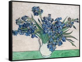 Irises, 1890 (White Vase)-Vincent van Gogh-Framed Stretched Canvas