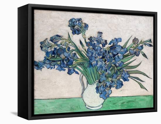 Irises, 1890 (White Vase)-Vincent van Gogh-Framed Stretched Canvas