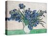 Irises, 1890 (White Vase)-Vincent Van Gogh-Stretched Canvas