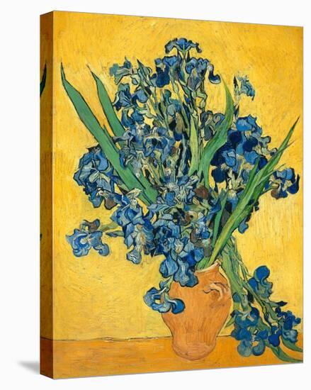 Irises, 1890-Vincent van Gogh-Stretched Canvas