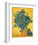 Irises, 1890-Vincent van Gogh-Framed Art Print