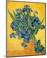 Irises, 1890-Vincent van Gogh-Mounted Art Print